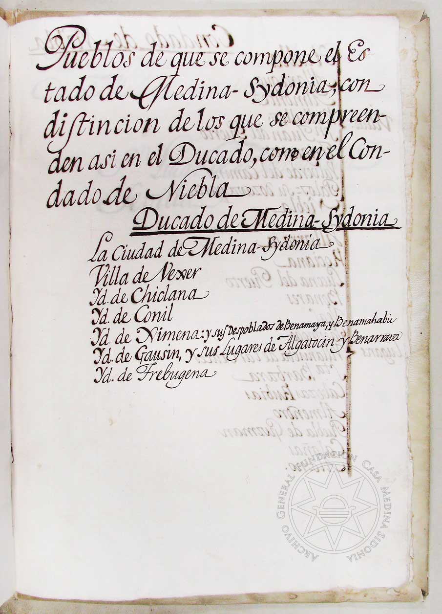 manual indice inventario clases papeles archivo ducal medina sidonia